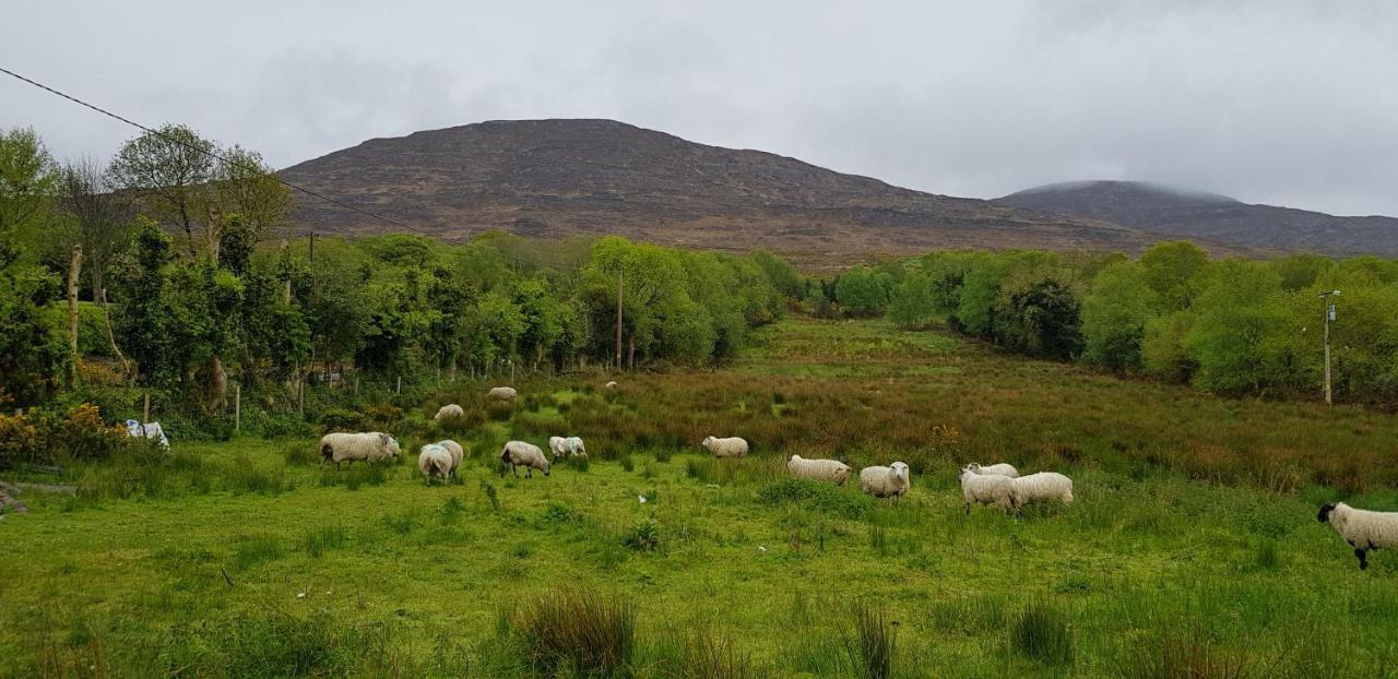 Mountain View Bed & Breakfast, Kenmare, Co. Kerry, Ireland Dış mekan fotoğraf